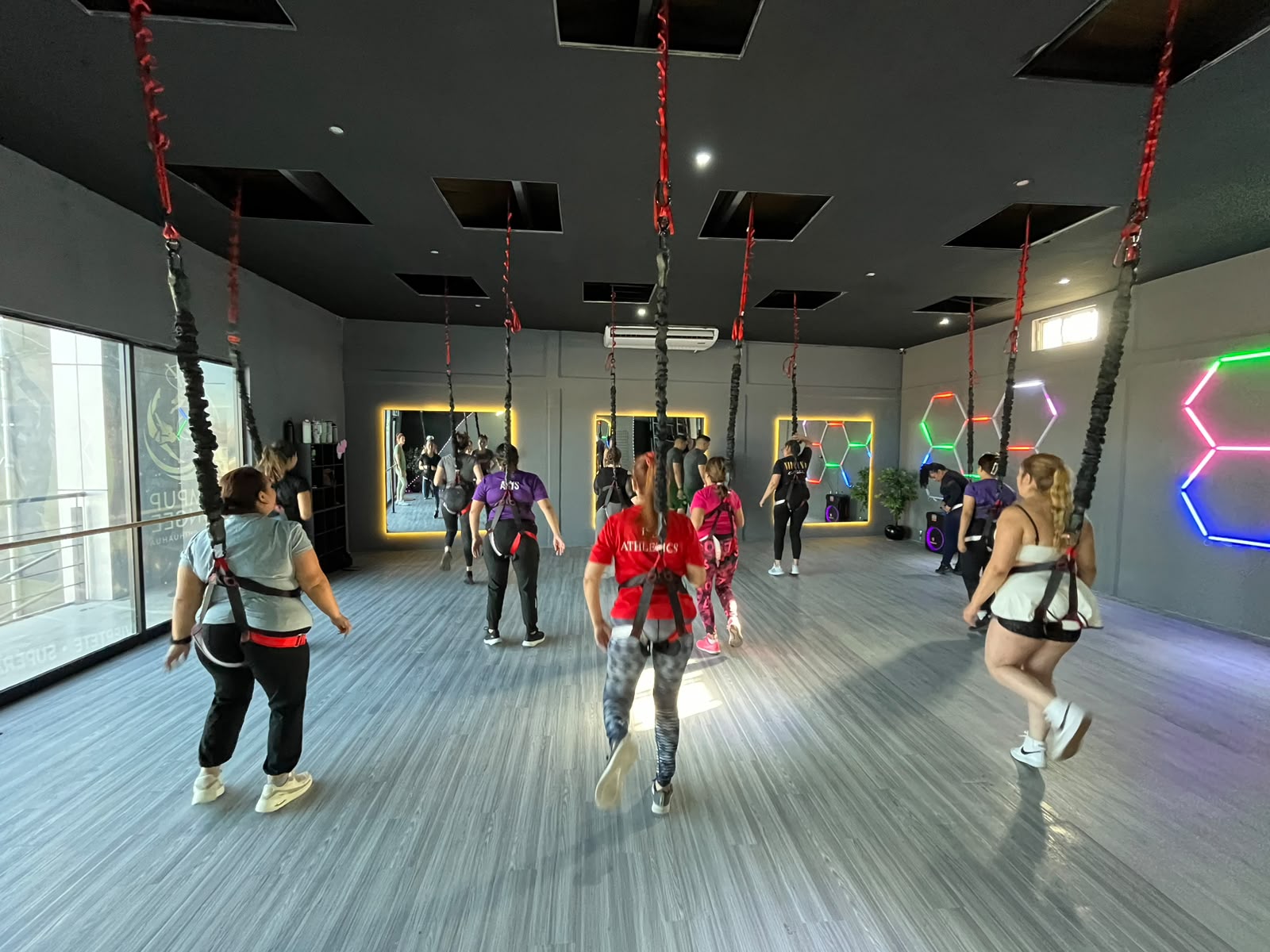 Estudio fitness premium